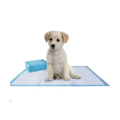 Puppy Starter Gift Box – Training Pads, Toys, Treats & Accessories for New Dog Owners Puppy Starter Gift Box – Training Pads, Toys, Treats & Accessories for New Dog Owners