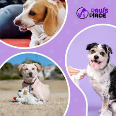 Puppy Starter Gift Box – Training Pads, Toys, Treats & Accessories for New Dog Owners Puppy Starter Gift Box – Training Pads, Toys, Treats & Accessories for New Dog Owners