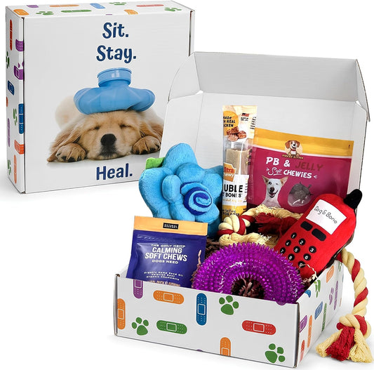 Get Well Soon Dog Gift Box | Dog Recovery Care Package with Toys & Treats