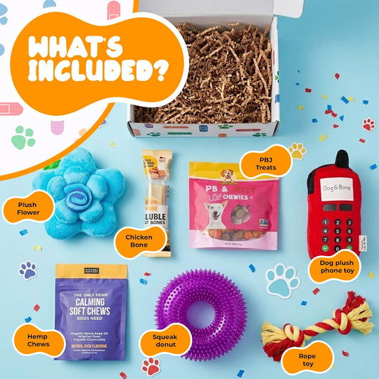 Get Well Soon Dog Gift Box | Dog Recovery Care Package with Toys & Treats