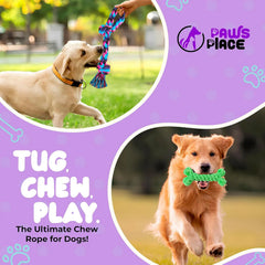 Essentials for new dog owners