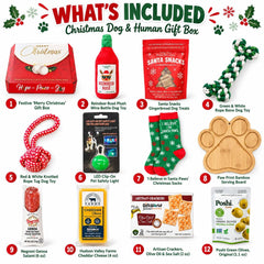 Christmas Dog & Owner Gift Box | Wine Lover Gift Set | Holiday Dog Toys and Treats