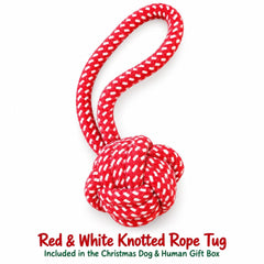 Christmas Dog & Owner Gift Box | Wine Lover Gift Set | Holiday Dog Toys and Treats