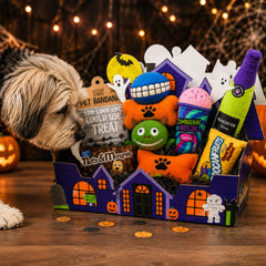 Halloween Dog Gift Box | Spooky Dog Toys Gift Basket | Dog Halloween Gift