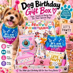 Dog Birthday Gift Box | Dog Birthday Party Gift