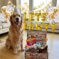 Luxury Dog Birthday Gift Box | Toys, Treats & Barkday Party Set