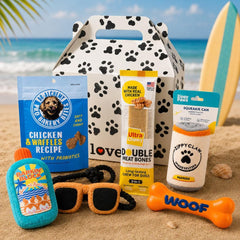 Dog Gift Box | Dog Toys & Treats Gift Basket