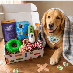 Get Well Soon Dog Gift Box | Dog Recovery Care Package with Toys & Treats