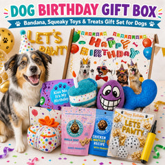 Deluxe Dog Birthday Gift Box | Dog Birthday Party Kit