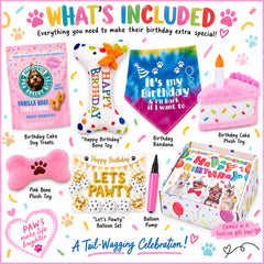Dog Birthday Gift Box | Dog Birthday Party Gift