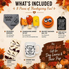 Thanksgiving Dog Gift Set | Dog Lover Gift for Human & Pup