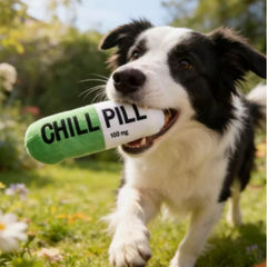 Get Well Soon Dog Gift Box | Dog Recovery Care Package with Toys & Treats