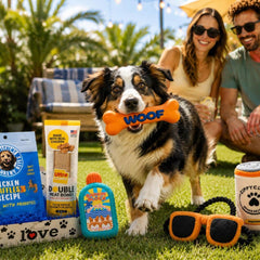 Dog Gift Box | Dog Toys & Treats Gift Basket