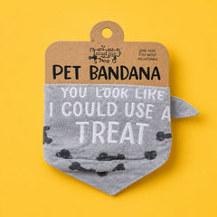 Halloween Dog Gift Box | Spooky Dog Toys Gift Basket | Dog Halloween Gift