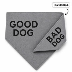 Thanksgiving Dog Gift Set | Dog Lover Gift for Human & Pup