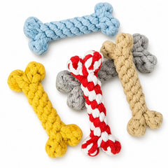Get Well Soon Dog Gift Box | Dog Recovery Care Package with Toys & Treats
