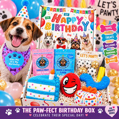Deluxe Dog Birthday Gift Box | Dog Birthday Party Kit