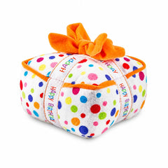 Deluxe Dog Birthday Gift Box | Dog Birthday Party Kit