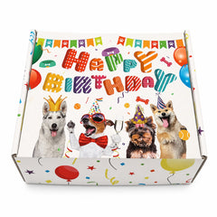 Dog Birthday Gift Box | Dog Birthday Party Gift