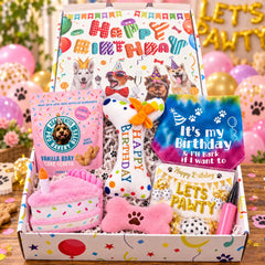 Dog Birthday Gift Box | Dog Birthday Party Gift