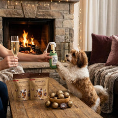 Dog & Human Champagne Gift Set | Dog Lover Gift with Plush Toy & Prosecco Chocolates