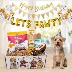 Luxury Dog Birthday Gift Box | Toys, Treats & Barkday Party Set